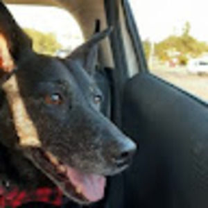 Meet your Posher, Jasmine